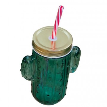 217437cactusglasfisura