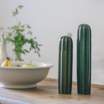 Doiy cacti cactus peper en zoutmolen1